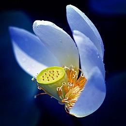 雅达利公布1980老IP新作《机器人战争：再充电》